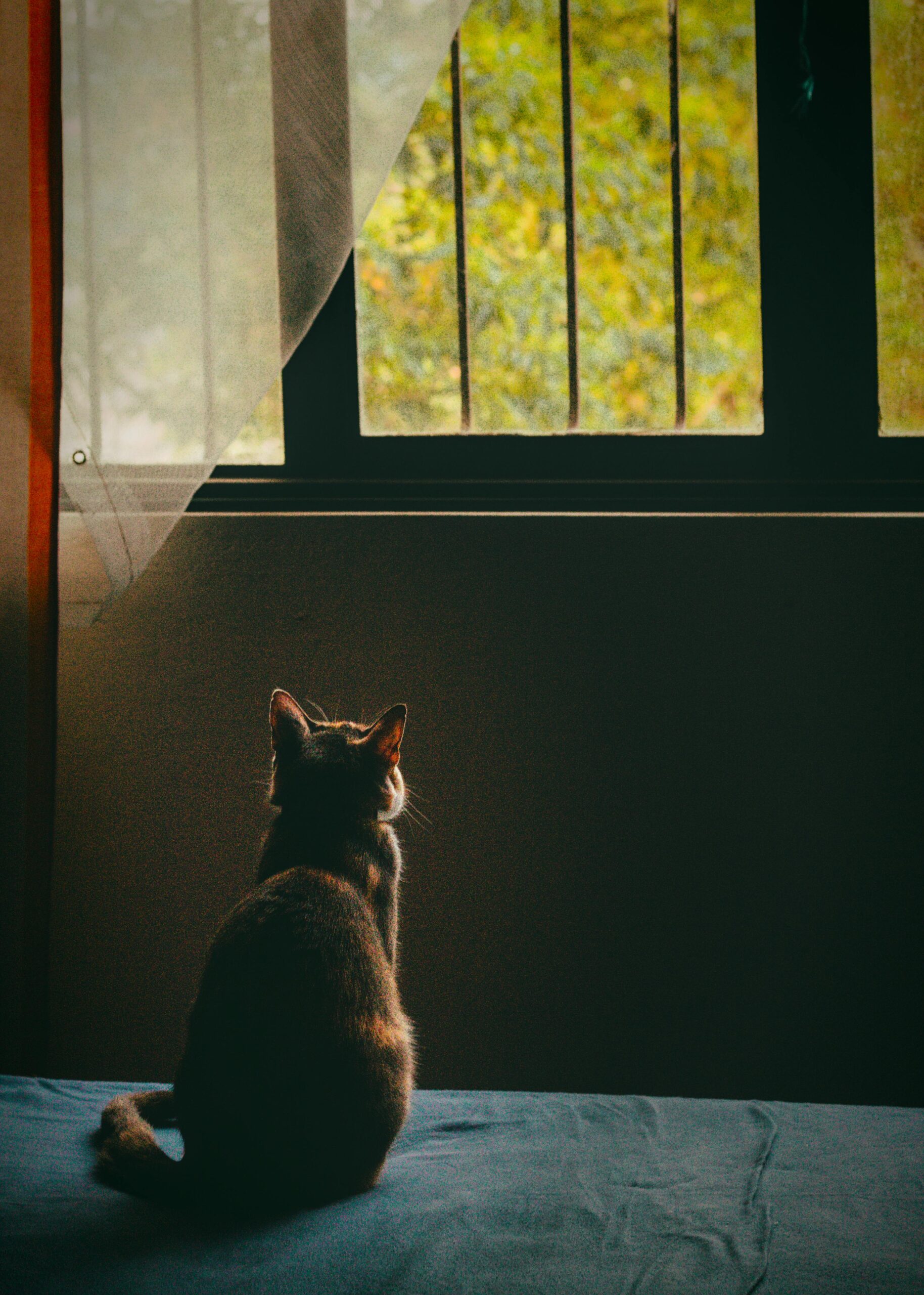 Have You Heard of Productive Nothingness?