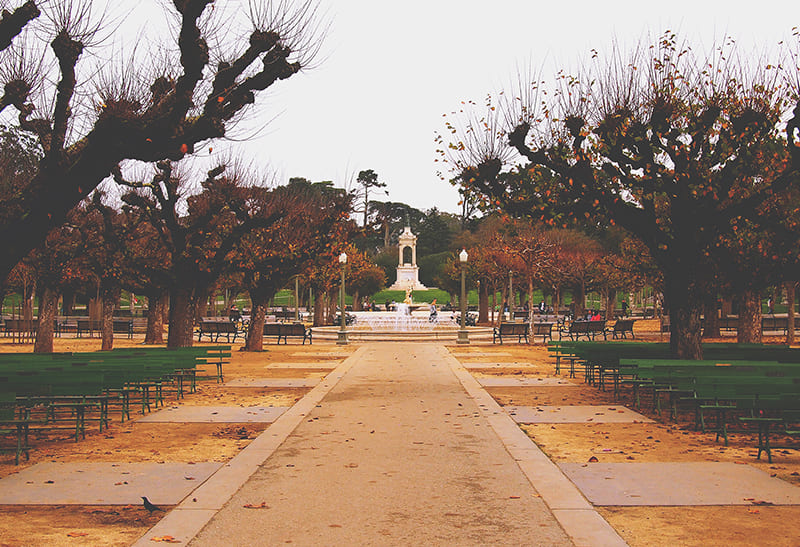 Blog 6