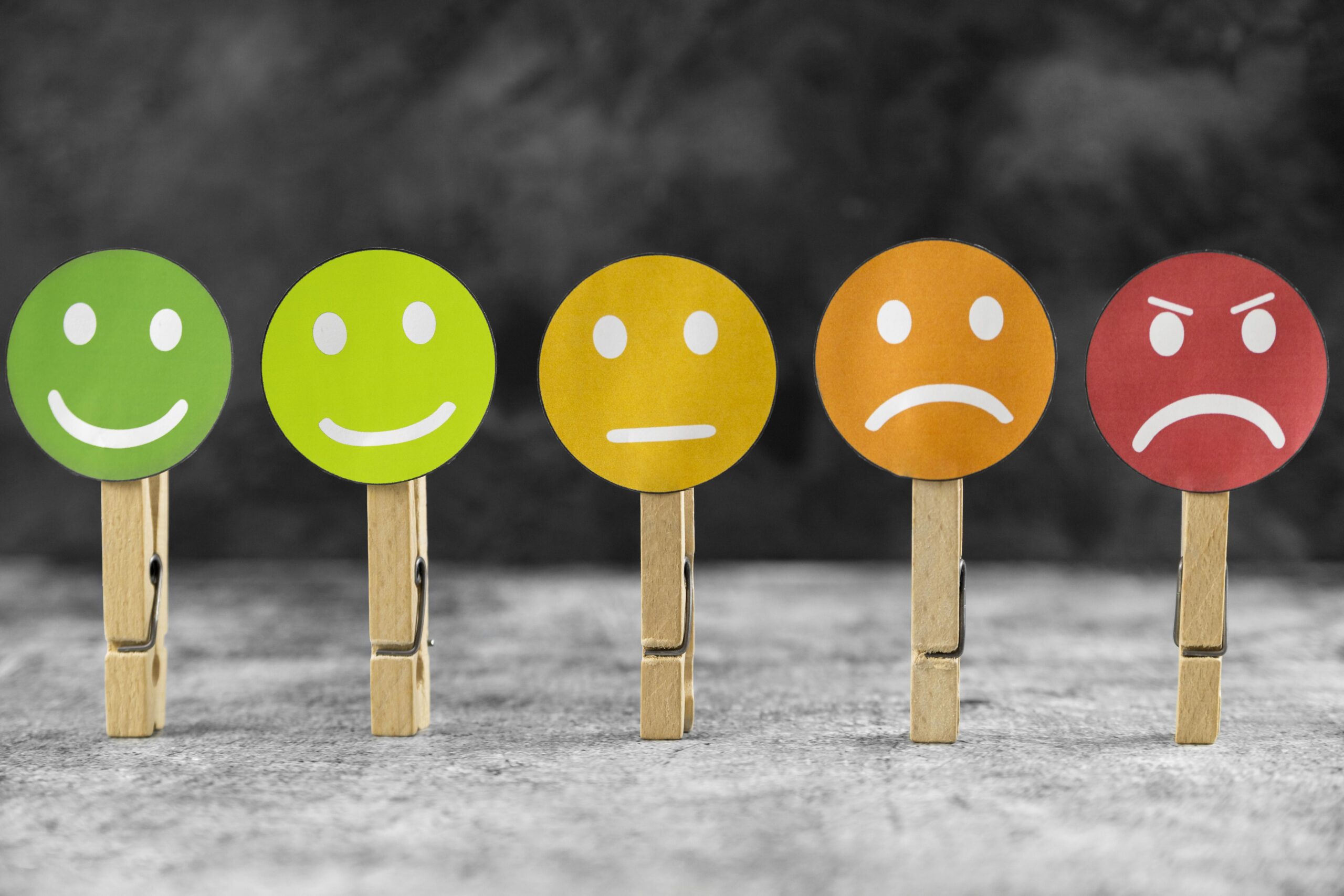 The brave feelings: a guide to make friends with all your emotions